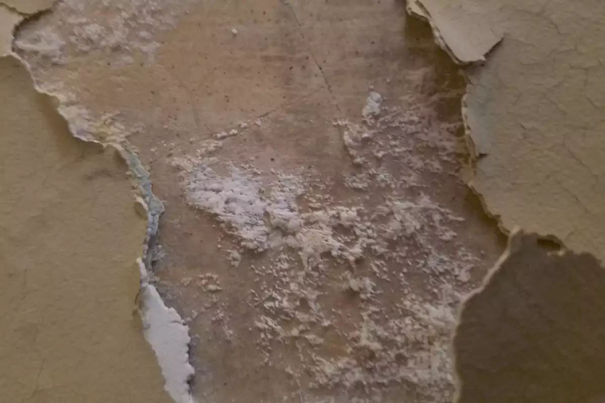Removing efflorescence plaster wall