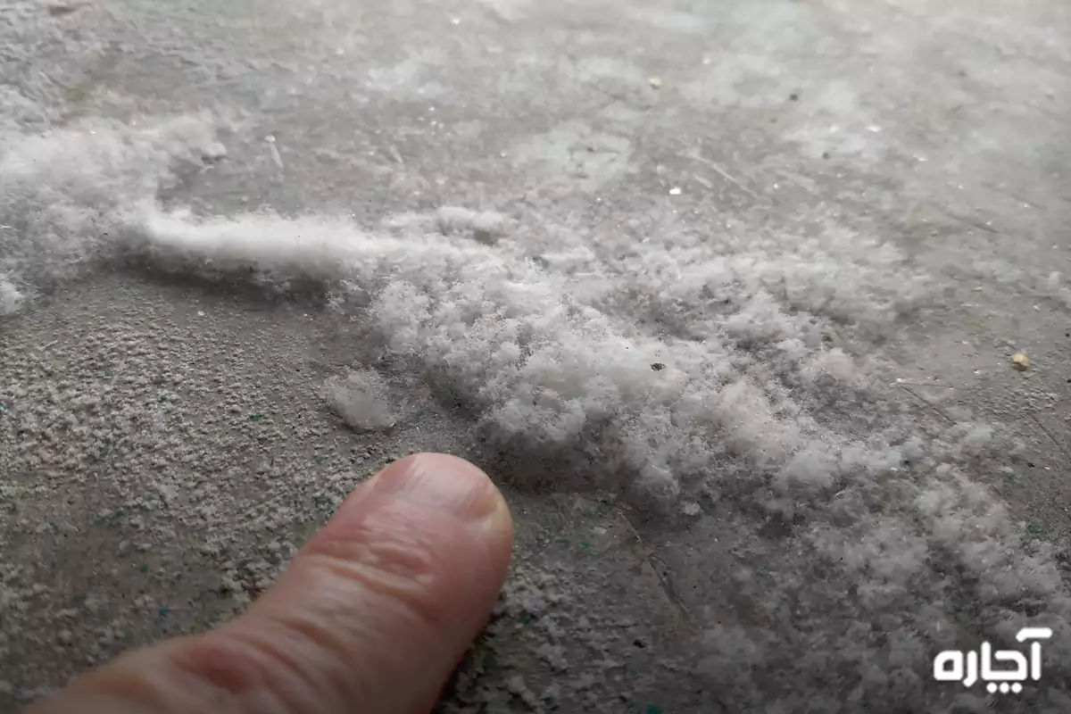 Removing efflorescence plaster wall