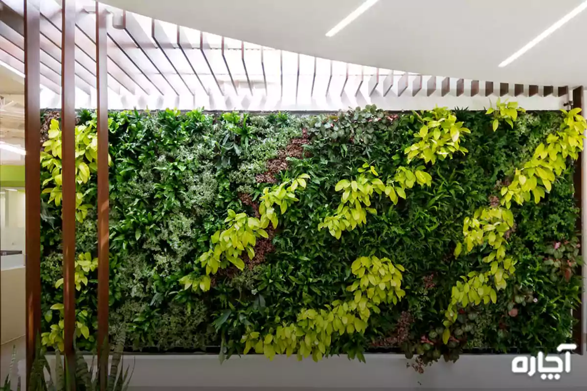مراحل طراحی گرین وال یا فضای سبز