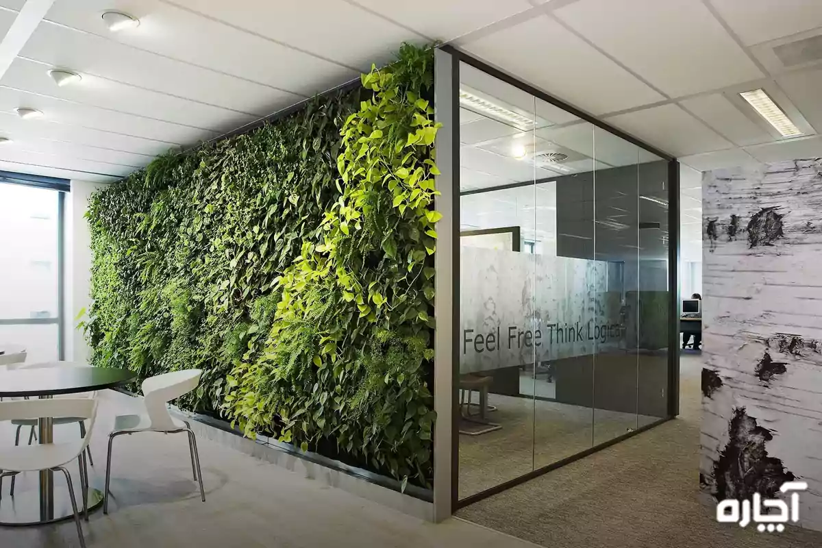 مکان های مناسب برای گرین وال