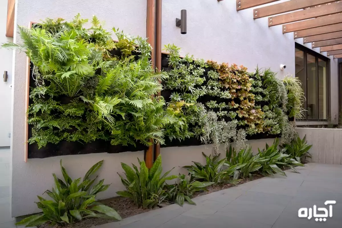 طراحی دیوار سبز