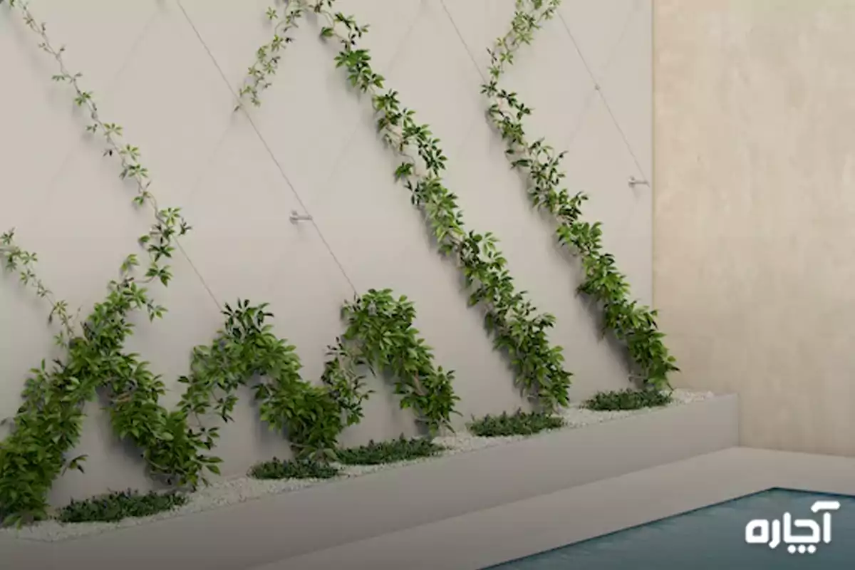 مکان های مناسب برای گرین وال